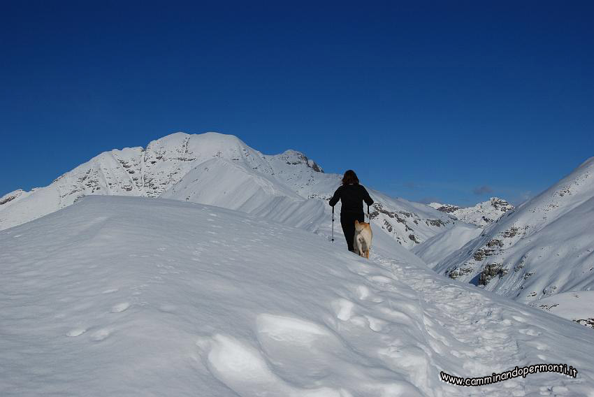 09 14294 verso la Vetta.JPG
